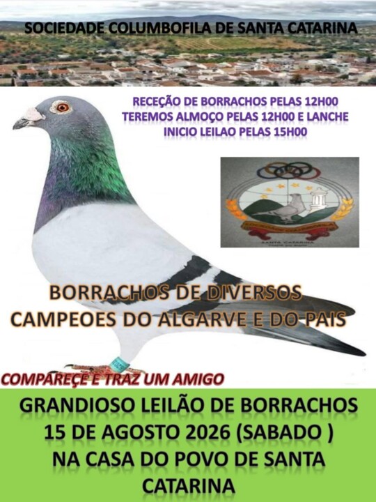 Santa Catarina.jpg