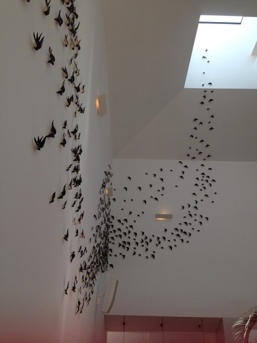 fotografia 5.JPG fotografia 5.JPG