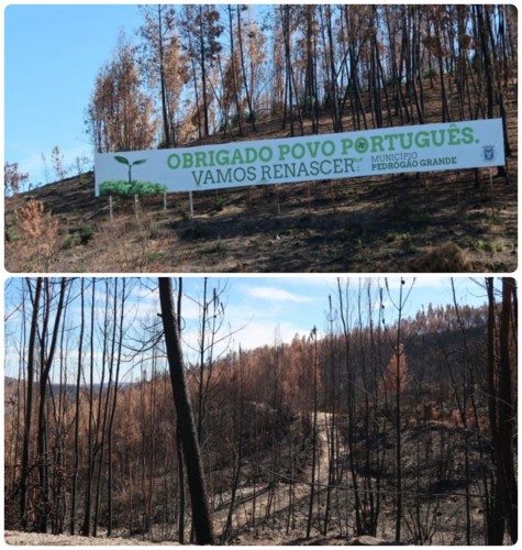 ferias 1.JPG ferias 1.JPG