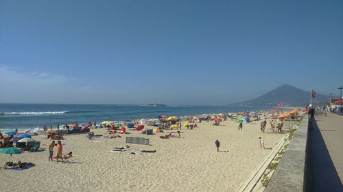 moledo.jpg moledo.jpg