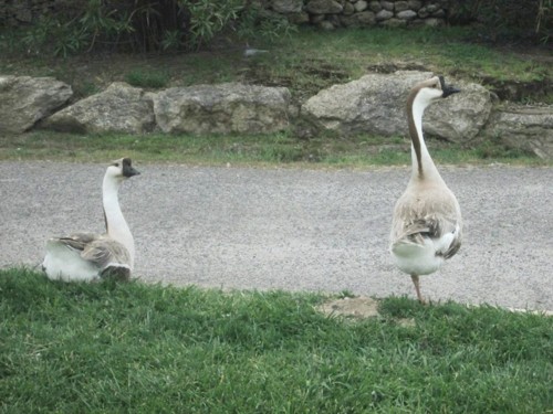 32974816_1652198114895487_6271094337438744576_n.jp 32974816_1652198114895487_6271094337438744576_n.jp