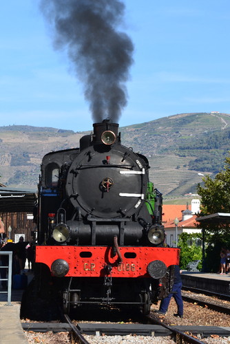 DSC_0115.JPG DSC_0115.JPG