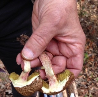 FullSizeRender 2.jpg