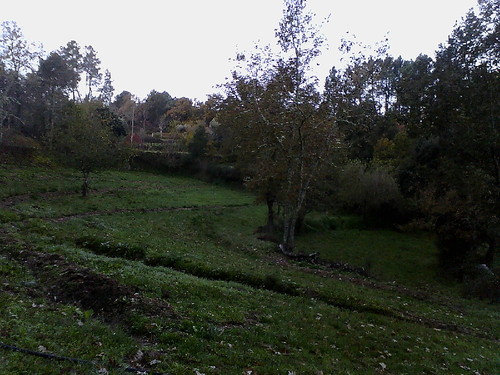 peace garden (3).JPG