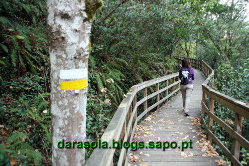 Passarelas_Rio_Mao_10.JPG Passarelas_Rio_Mao_10.JPG