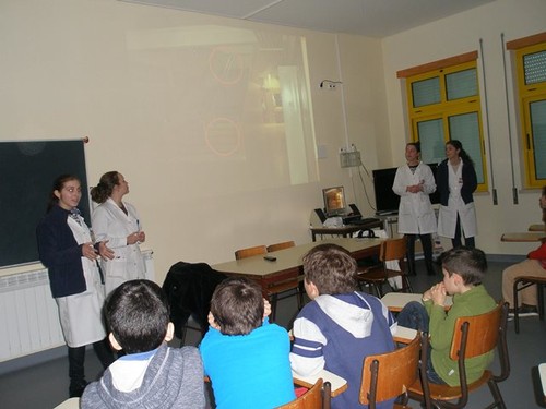 fotos segurança.JPG