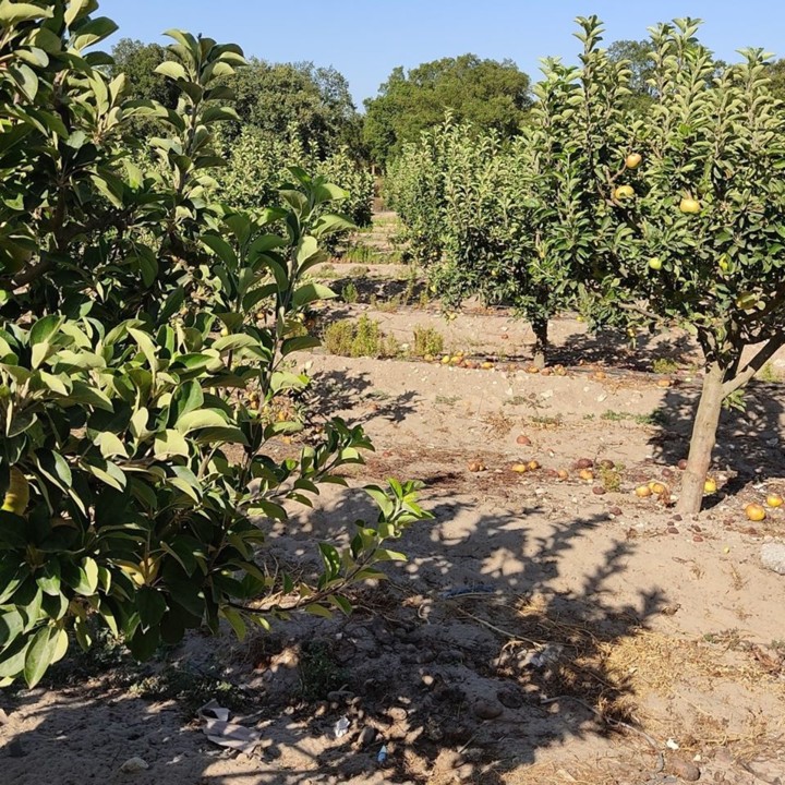 113545656_1763749730431447_316754407811485246_o.jp