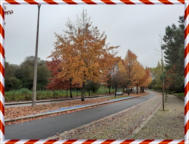 12a_Caminhada_a_dois (8).jpg