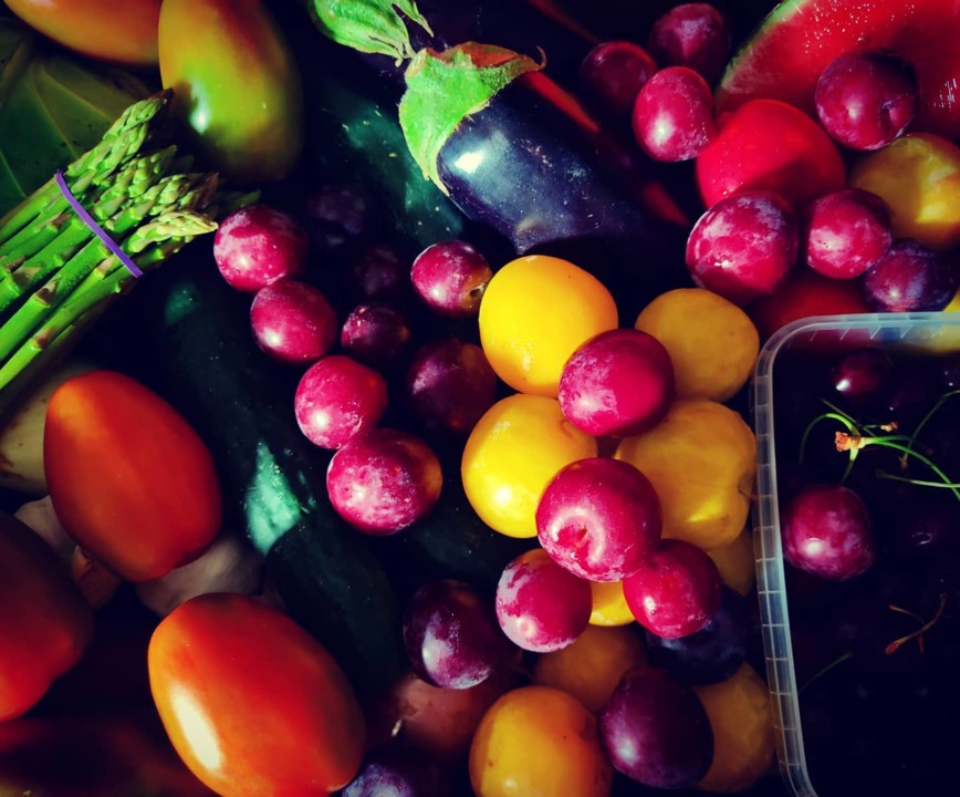 211842828_2060419817431102_2485193790989071730_n.j