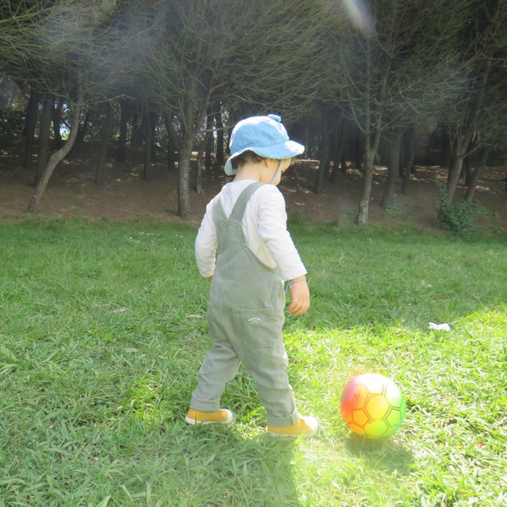 IMG_20210420_094221.jpg IMG_20210420_094221.jpg