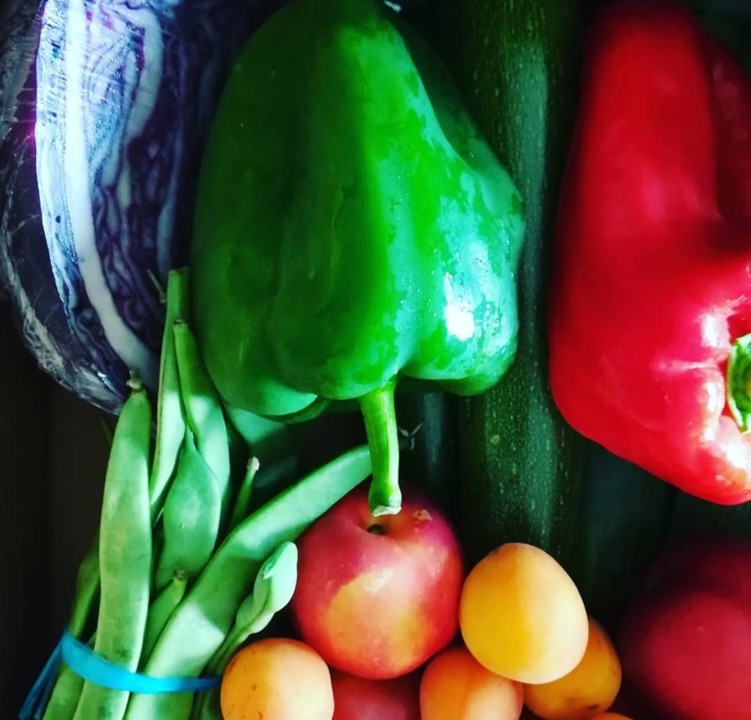 64720144_1397729953700095_2574689549418496000_n.jp 64720144_1397729953700095_2574689549418496000_n.jp