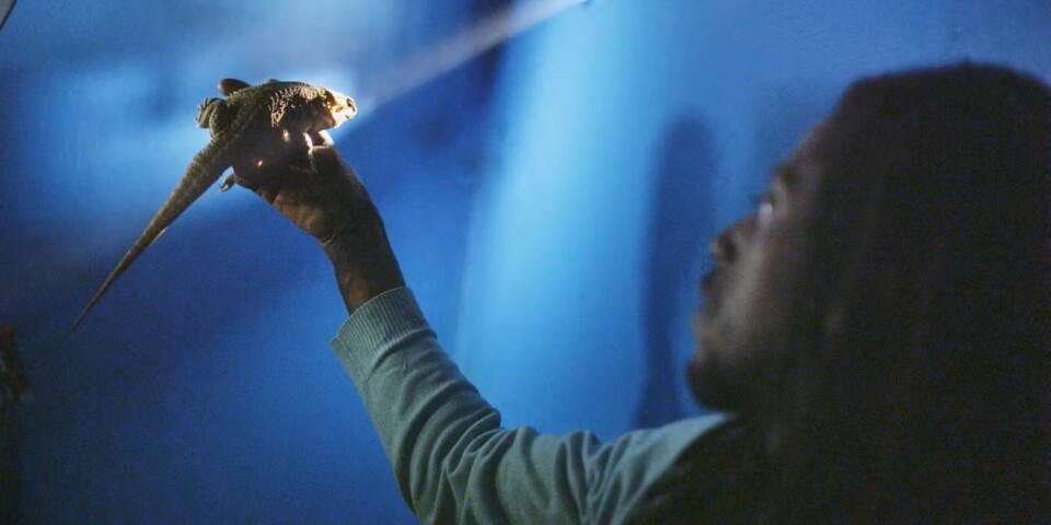 cd1b4ccc-6586-49e1-860c-954cc3317eda_13-até+ver+a