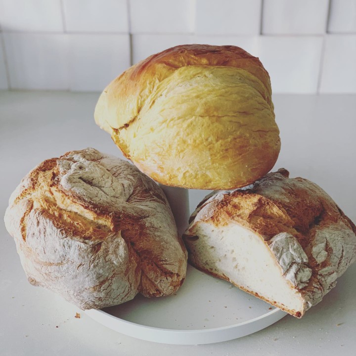 125323522_1590192187833903_4338846835490231376_o.j