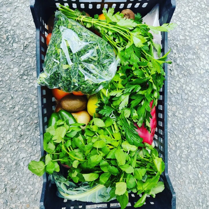 442436388_836019198555492_7851847131082088923_n.jp