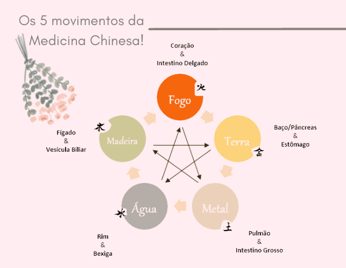 Os 5 Movimentos - Água Fogo Madeira Metal Terra 