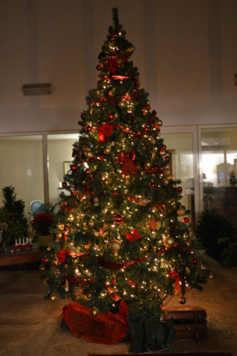 Arvore2018 (34 de 49).jpg