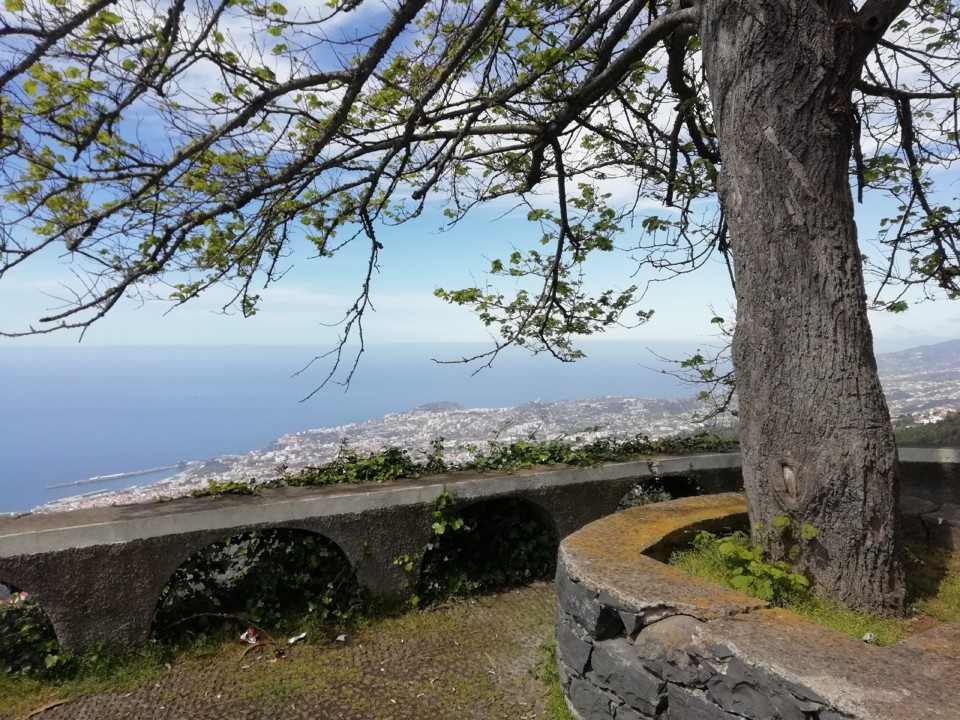 IMG_20200510_114122.jpg IMG_20200510_114122.jpg