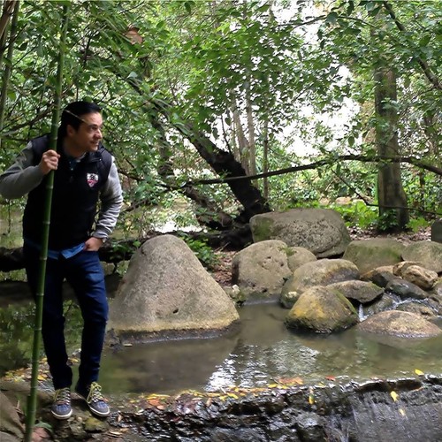 12993507_1078355655521329_3275660924102952275_n.jp