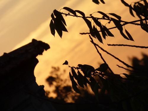 That Girl Melanie Moreira.JPG That Girl Melanie Moreira.JPG