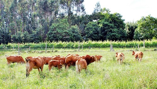 MANADA.JPG MANADA.JPG