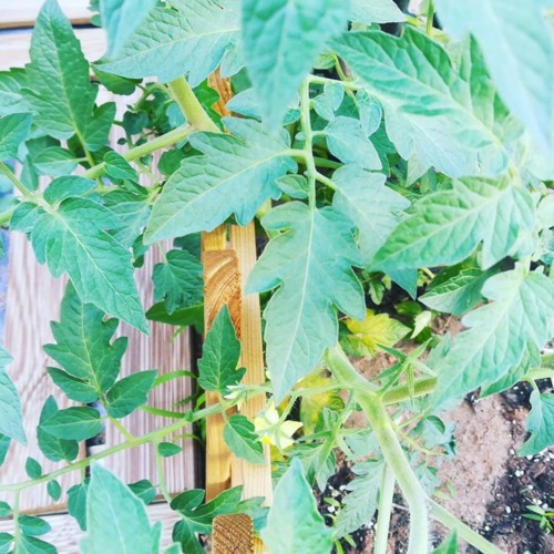 39955903_1193754617430964_5127885360205922304_n.jp