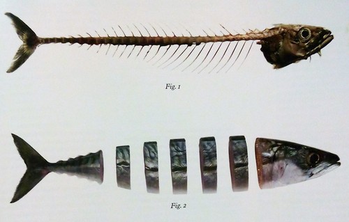 IMG_20160810_201548 (3).jpg