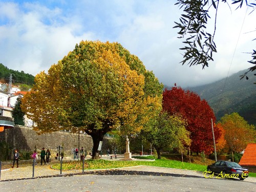 Fotos de Outono !!! 008.jpg