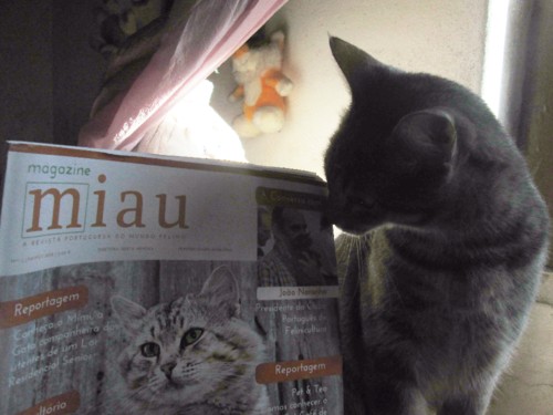 IMG_5416 - Cópia.JPG