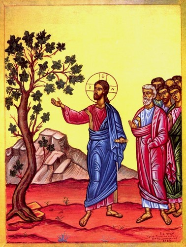 03Mar - A Figueira Estéril.jpg