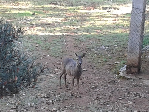 20150419_182450.jpg