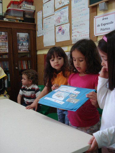 C:\Users\Boss\Desktop\Proj. Tartaruga\DSC03884.JPG