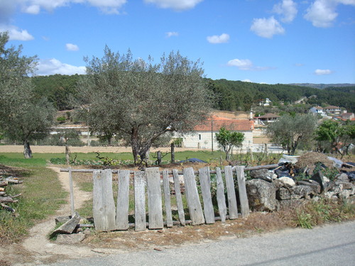 Valverde - Chaves