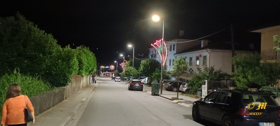 Vila de Cerva - Festa de São Pedro