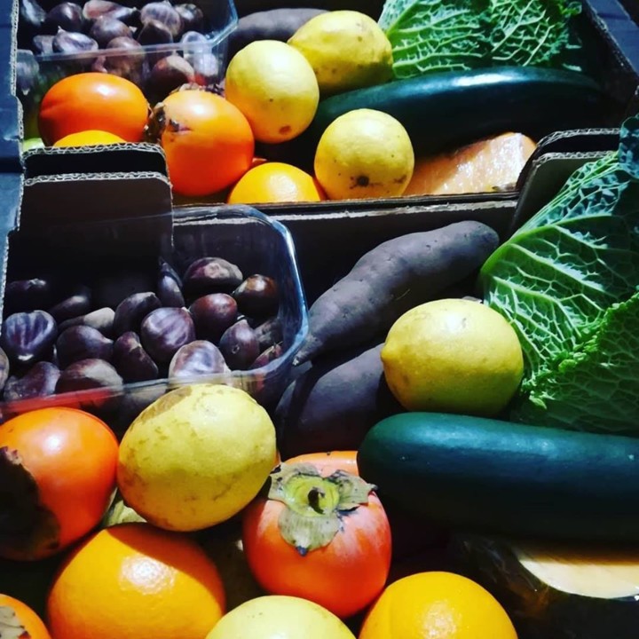 74964076_1514072075399215_3485607286326427648_o.jp