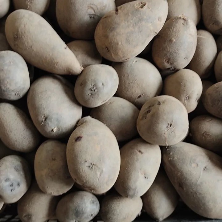 276010134_2263001150506300_2955236184558209440_n.j