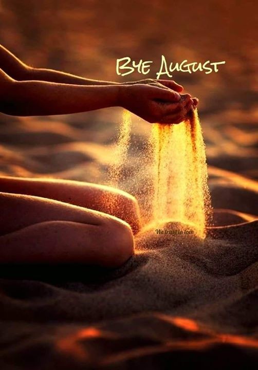 69402325_10220231728370445_3483291555924541440_o.j