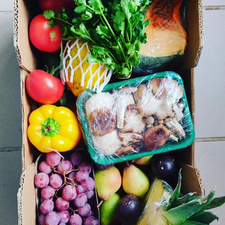 374737773_685691670254913_8775134316209786710_n.jp