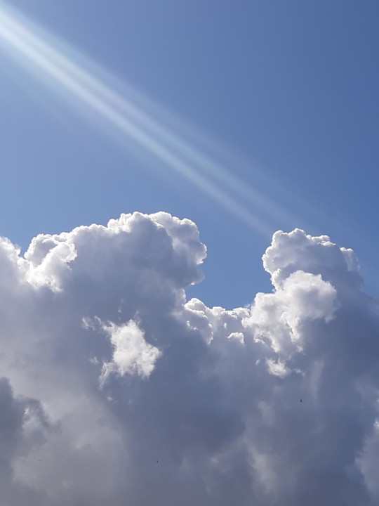 20201022_114502.jpg 20201022_114502.jpg