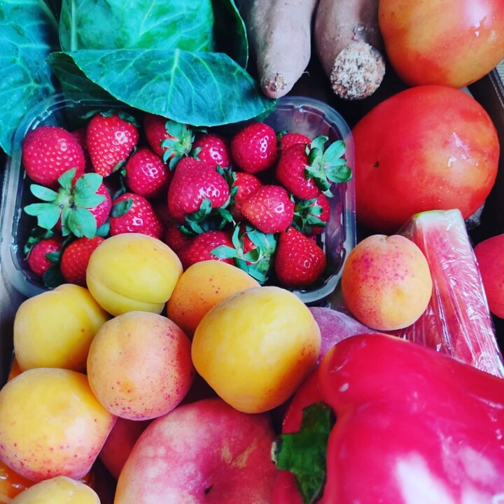 503436423_18485040937066958_8575150272198261072_n.