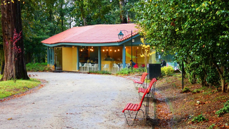 124418946_10218781114734056_2581163307724406009_o.