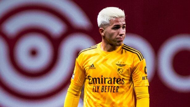 enzo getty images.jpeg