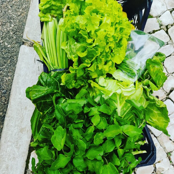 476468516_18460507042066958_7373130788844748385_n.