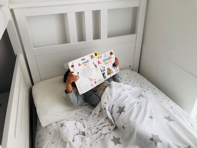 IMG_5997.jpg IMG_5997.jpg