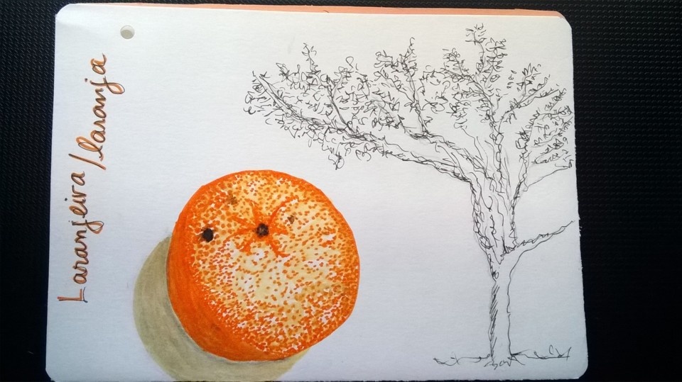 WP_20190608_14_24_41_Pro (2).jpg