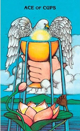 Captura de ecrã 2025-12-27 180539.png