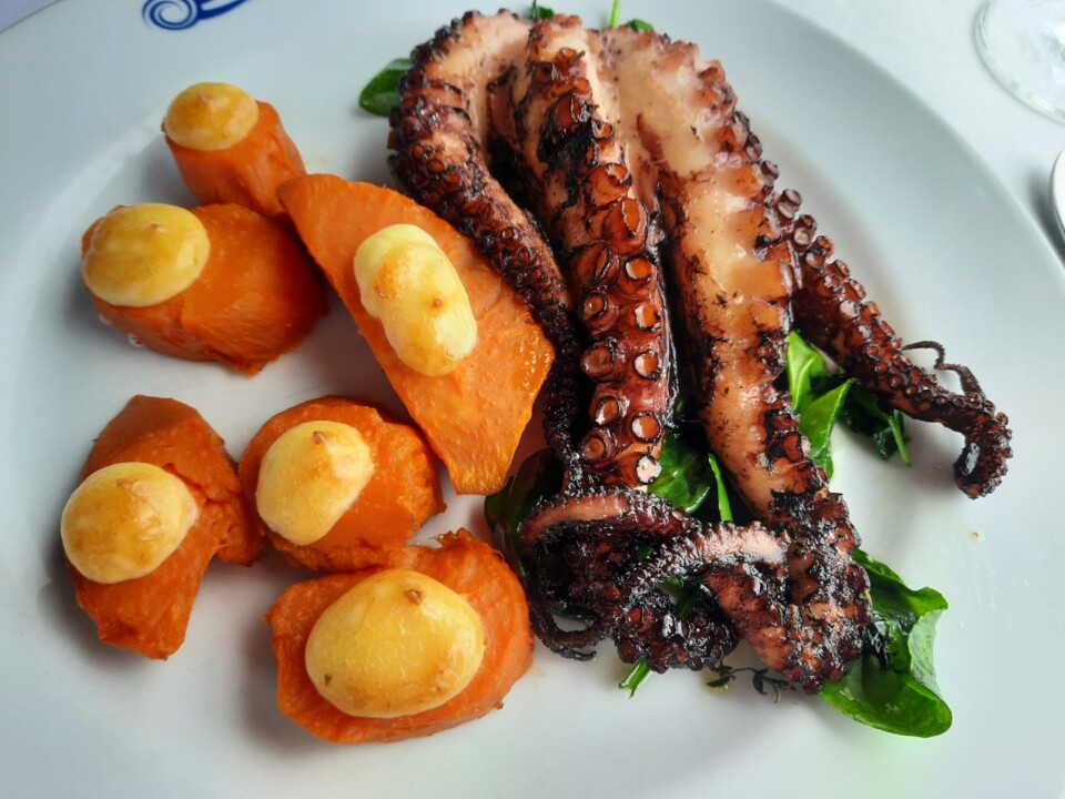 polvo c batata doce.jpg