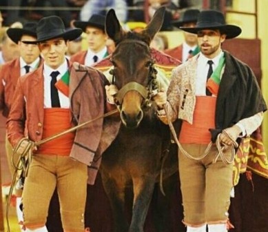 Tourada de Gala-C.Peq.2016.jpg