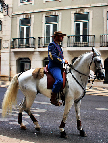 LUSITANO.JPG