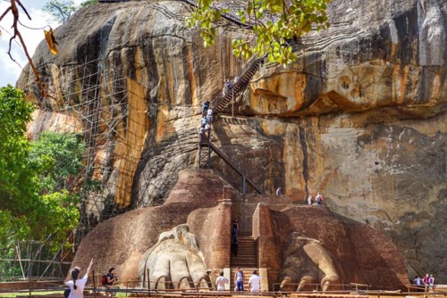 21768175_10214535534652182_2919329685216614665_n.j