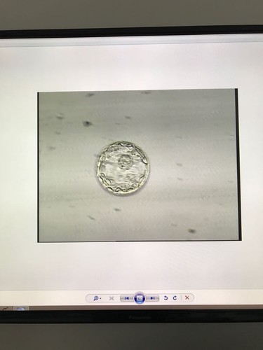 0e8bb32e-8c72-4315-bf0c-135d3af832e2.jpg 0e8bb32e-8c72-4315-bf0c-135d3af832e2.jpg